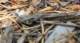 imgp1613_small.jpg