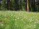 imgp1615_small.jpg