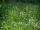imgp1616_small.jpg