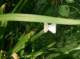 imgp1618_small.jpg