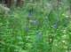 imgp1619_small.jpg