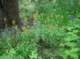 imgp1620_small.jpg