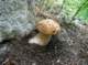 imgp1623_small.jpg