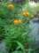 imgp1624_small.jpg