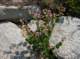 imgp1629_small.jpg