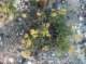 imgp1631_small.jpg