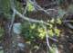 imgp1633_small.jpg