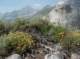 imgp1634_small.jpg