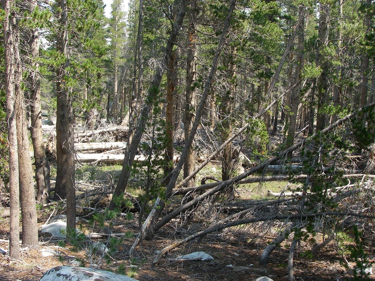 imgp1674.jpg