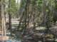 imgp1674_small.jpg
