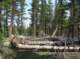 imgp1675_small.jpg
