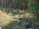 imgp1676_small.jpg