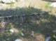 imgp1678_small.jpg