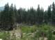 imgp1680_small.jpg