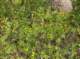 imgp1683_small.jpg