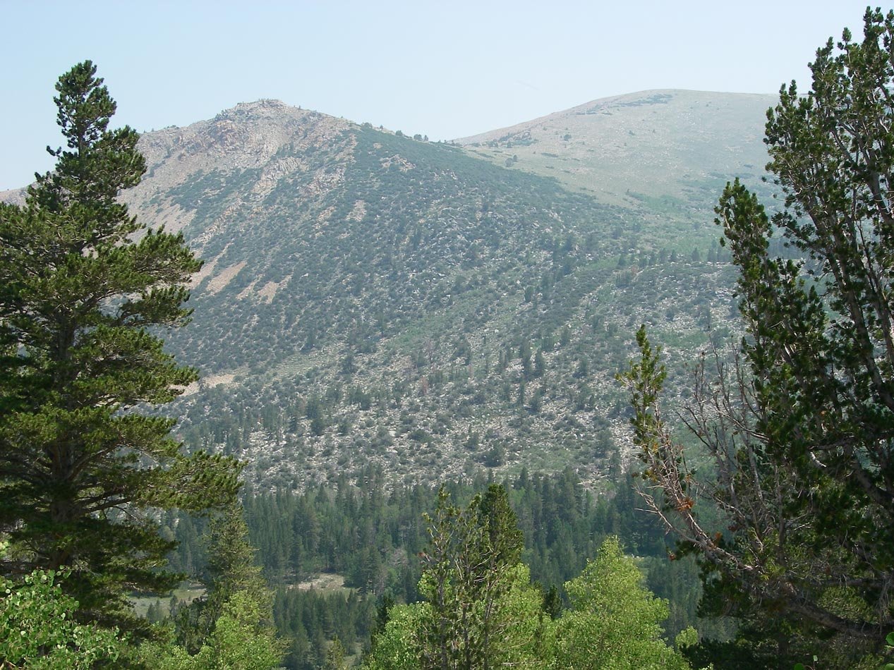 imgp1687.jpg