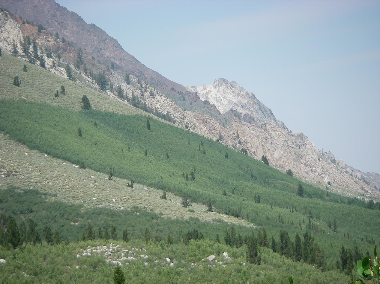 imgp1693.jpg