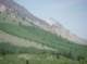 imgp1693_small.jpg
