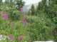 imgp1694_small.jpg