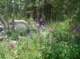 imgp1695_small.jpg