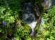 imgp1696_small.jpg