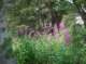 imgp1697_small.jpg