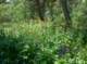 imgp1702_small.jpg