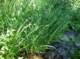 imgp1703_small.jpg