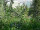 imgp1704_small.jpg