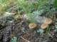 imgp1709_small.jpg