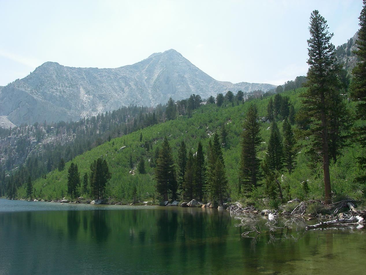 imgp1710.jpg