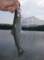 imgp1737_small.jpg