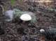 imgp1760_small.jpg