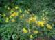 imgp1767_small.jpg
