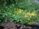 imgp1768_small.jpg