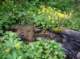 imgp1769_small.jpg