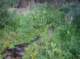 imgp1770_small.jpg