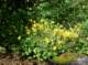 imgp1772_small.jpg