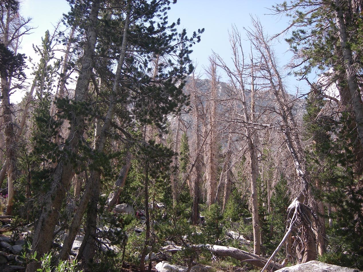 imgp1775.jpg