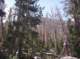 imgp1775_small.jpg