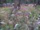imgp1776_small.jpg