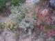 imgp1778_small.jpg