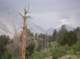 imgp1781_small.jpg