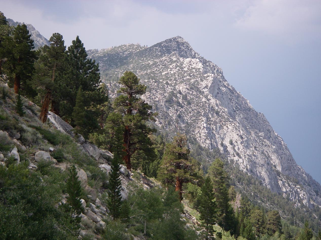 imgp1782.jpg