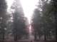 imgp1786_small.jpg