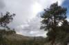 gopr2685_small.jpg