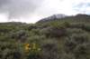 gopr2690_small.jpg