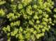 imgp2533_small.jpg