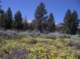 imgp2534_small.jpg