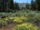imgp2538_small.jpg